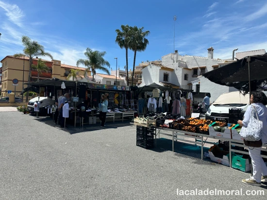 Fruta ecológica y de kilómetro cero en el mercadillo