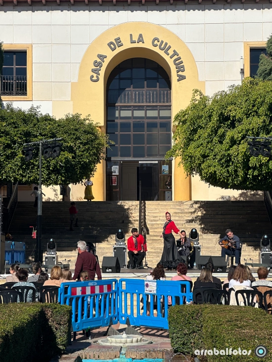 Raquel Ariza actuando en la Semana Sociocultural de La Cala del Moral en la Plaza Gloria Fuertes.