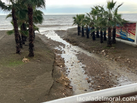 Desembocadura del arroyo de Calle san Juan - 29 de Octubre de 2024