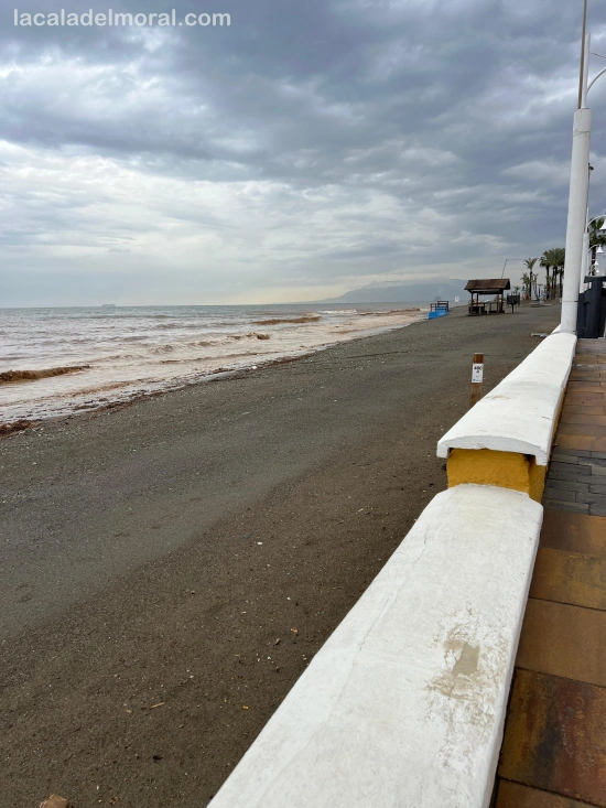 Vista de la playa de La Cala del Moral  - 29 de Octubre de 2024