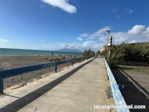 acceso peatonal desde La Cala del Moral hacia el Área Málaga Beach, mostrando camino con señalización y entorno natural.