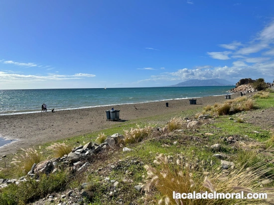 Motorhome parking area with direct access to the beach at Area Malaga Beach in La Cala del Moral, Málaga.