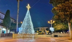 Ferias y Fiestas de La Cala del Moral Árbol de Navidad iluminado en la plaza de La Cala del Moral